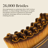 Lymphatic Gua Sha Brush