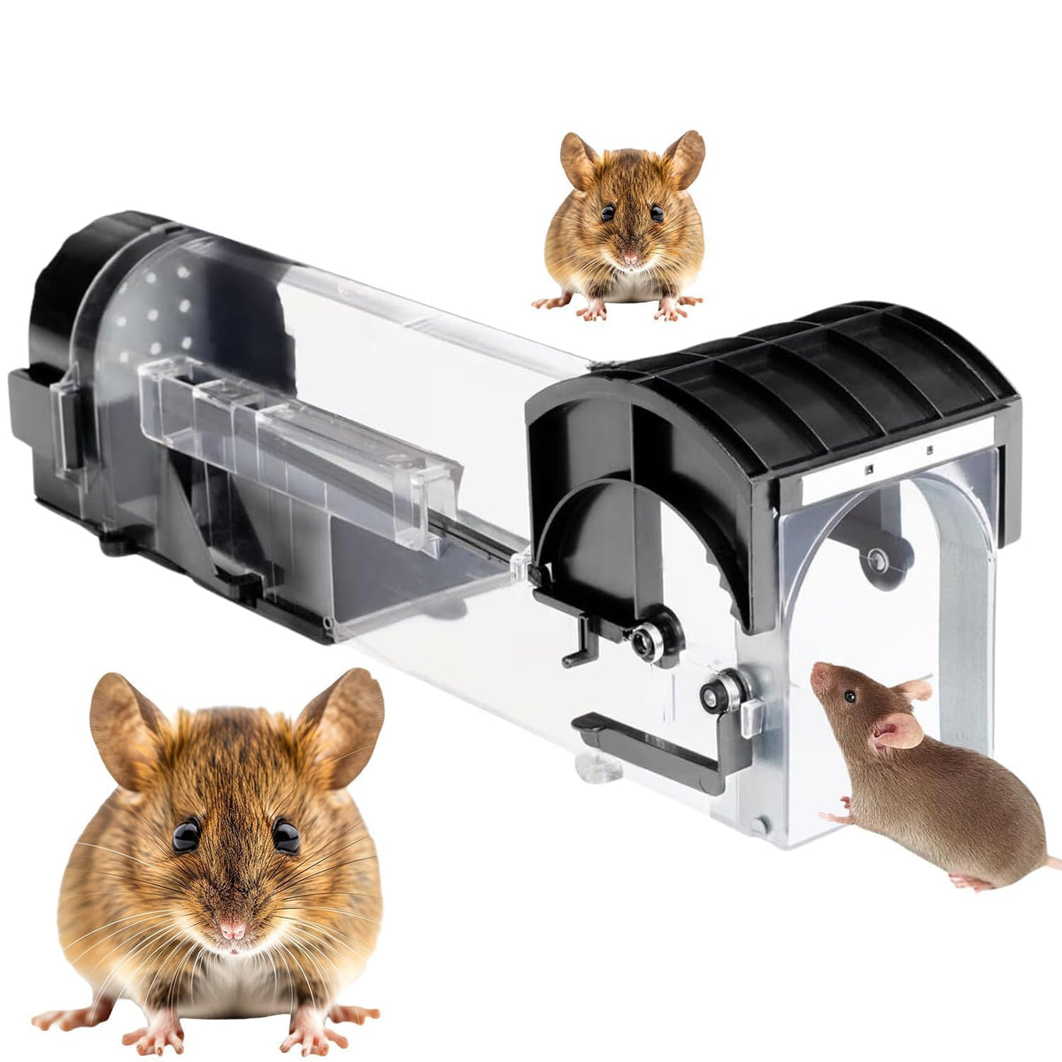 Big Rat Trap Cage for House Garden